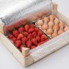 thermopack8 ThermoPack Tek Taraf Termal İzolasyonlu Balonlu Naylon